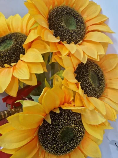 Hostal Boutique Luna de Gavín — 写真 9