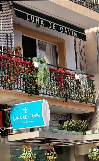 Hostal Boutique Luna de Gavín — 写真 11