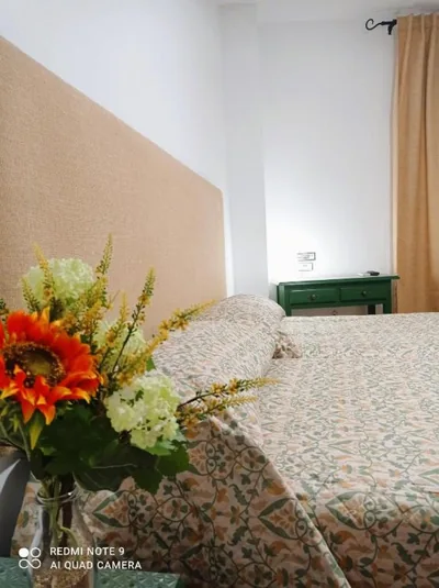 Hostal Buena Vista — foto 11