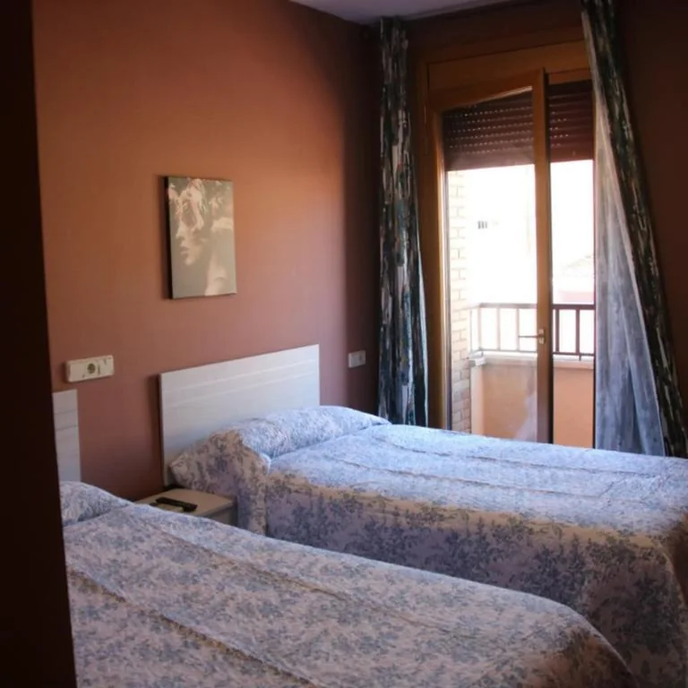 Deluxe tweepersoonskamer met 2 bedden — HOSTAL BURGALES