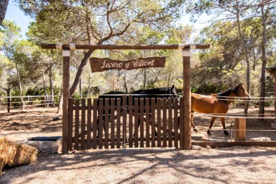 Hostal Cala Boix — Foto 8