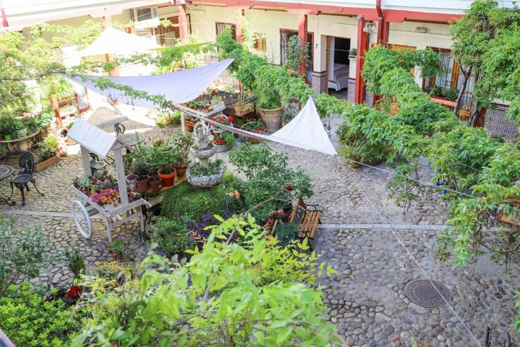 Camera singola Standard — Hostal Castilla