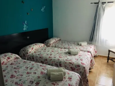 Hostal Catedritos Ibéricos A-5 Km 154 A 5 KM DE OROPESA A 1 KM DE HERRERUELA DE OROPESA — 写真 2