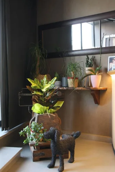 Hostal Crisami — foto 12