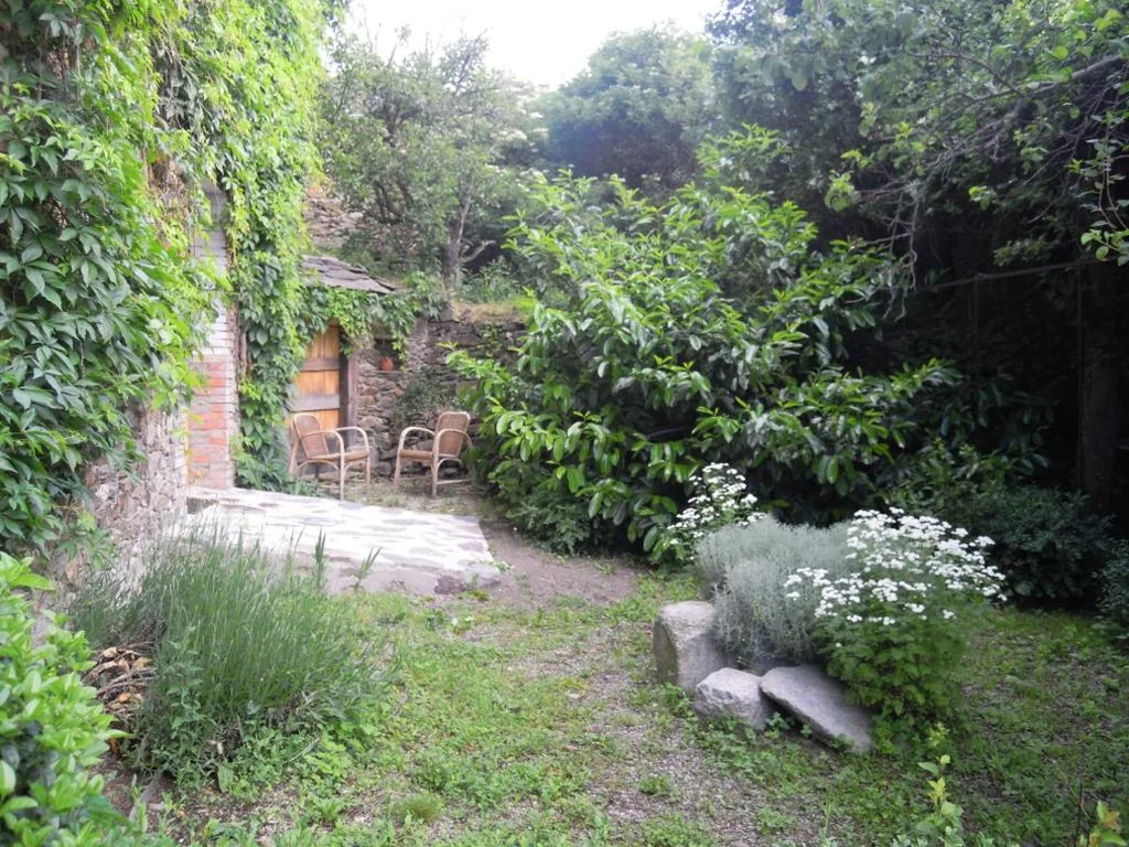 Estudio — Hostal D'Éller