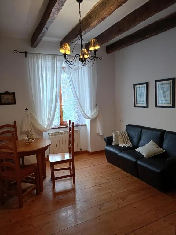 市街の景色を望むデラックス1ベッドルームアパートメント — Hostal del Camino de Santiago