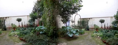 Hostal del Pez Azul — photo 5