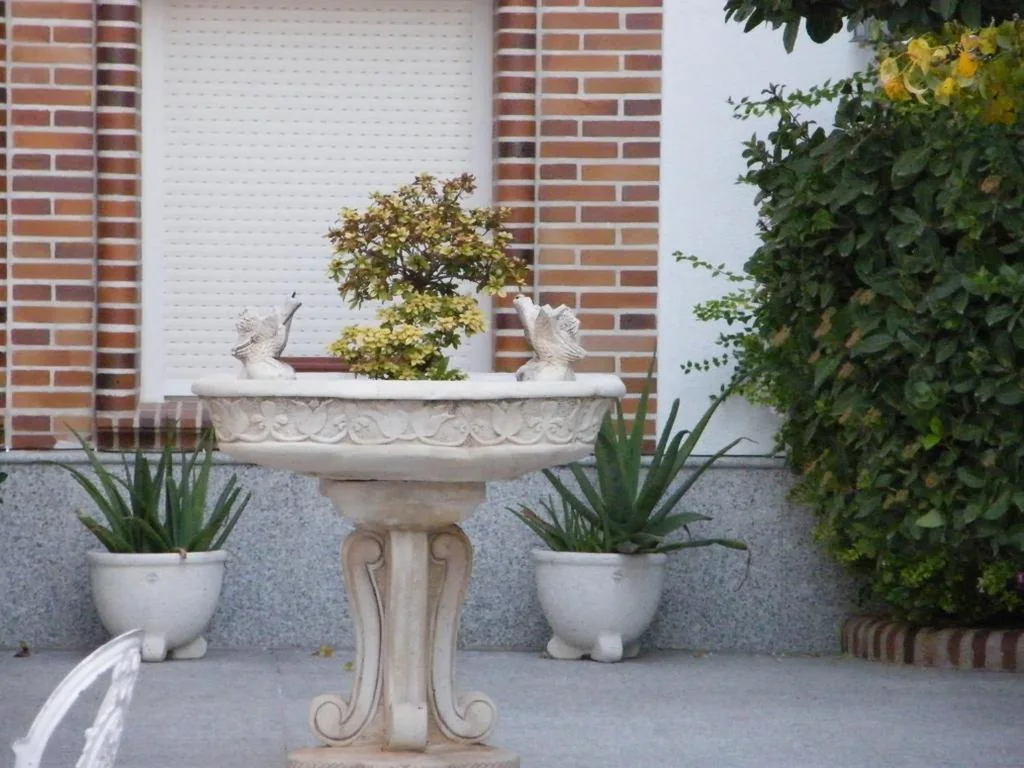 Camera singola con bagno privato — Hostal Dulcinea