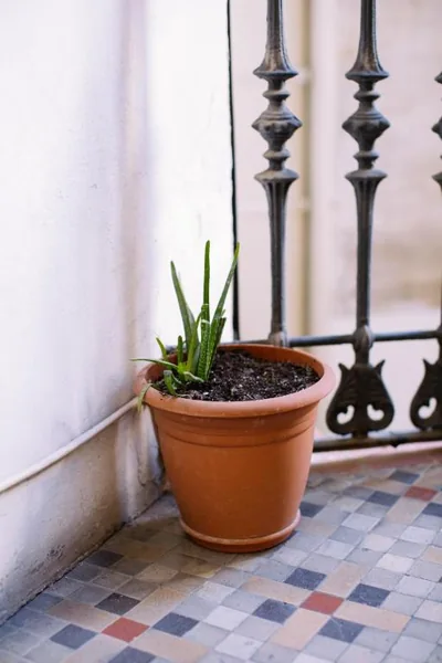 Hostal Eixample — Foto 10