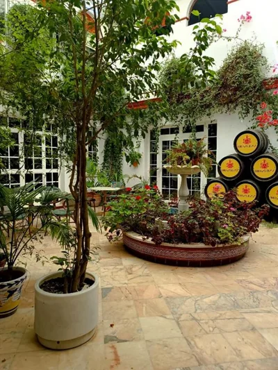 Hostal El Lirio — foto 5