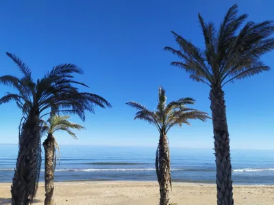 Hostal El Perelló, Valencia — foto 3