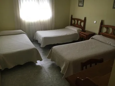 Hostal El Pinar — photo 11
