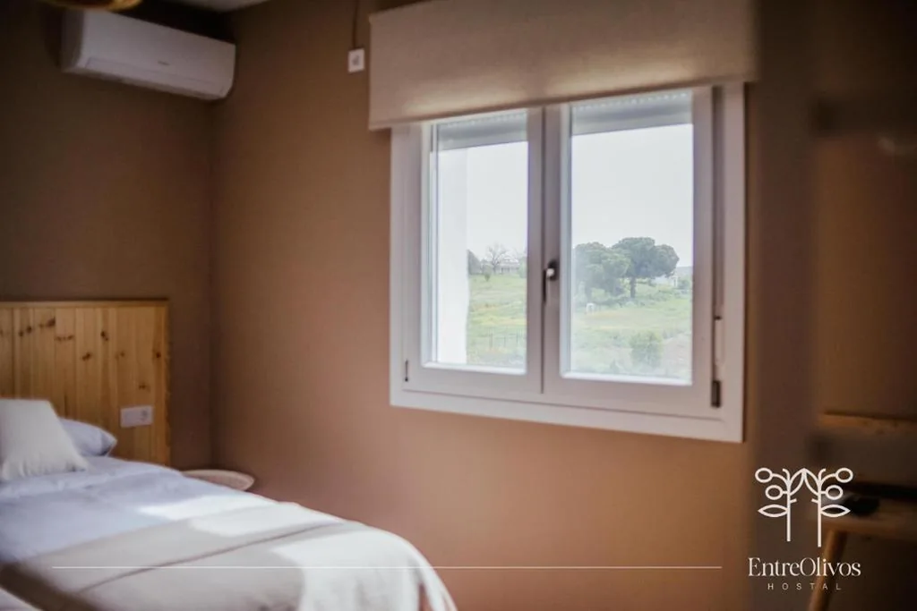 Tweepersoonskamer met 2 bedden — HOSTAL ENTREOLIVOS