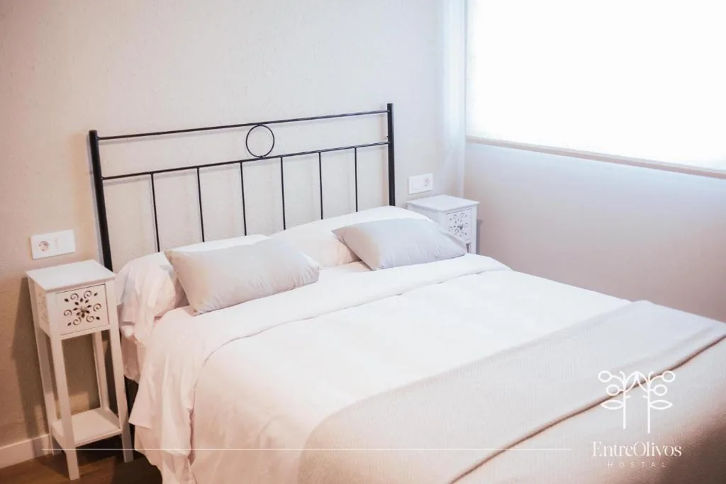 Tweepersoonskamer — HOSTAL ENTREOLIVOS