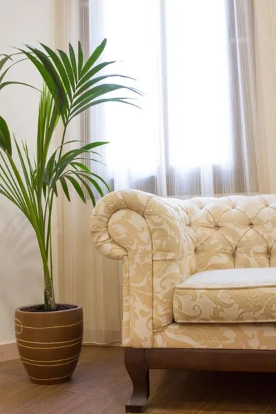 Hostal Excellence — Foto 8