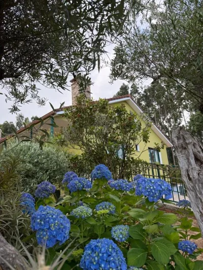 Hostal Finca La Oliva — photo 8