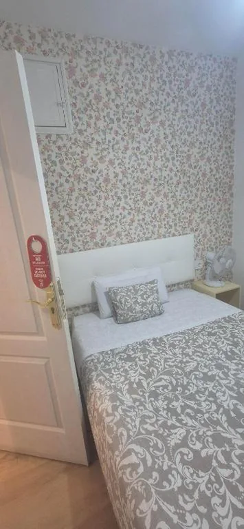 带共用浴室的单人间 — Hostal Flat55Madrid