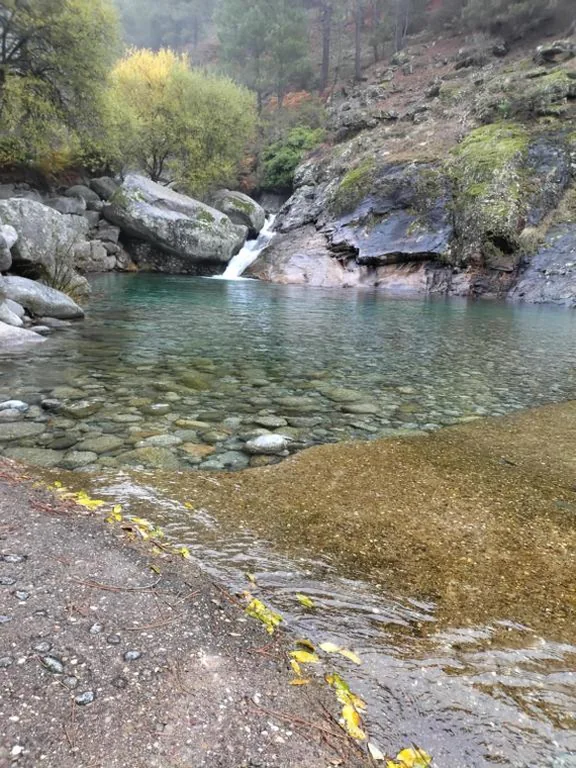 Estudio con cama extragrande y sofá cama — Hostal Fogón de Gredos