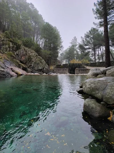 Hostal Fogón de Gredos — foto 7