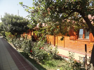 Hostal Gran Avenida — 写真 12