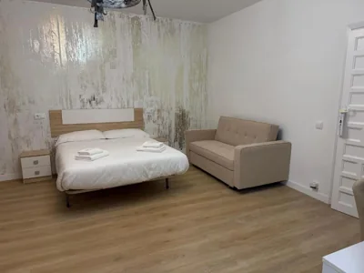 Hostal Gran Capitán — foto 7