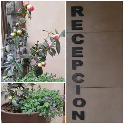 Hostal Hispano — Foto 10