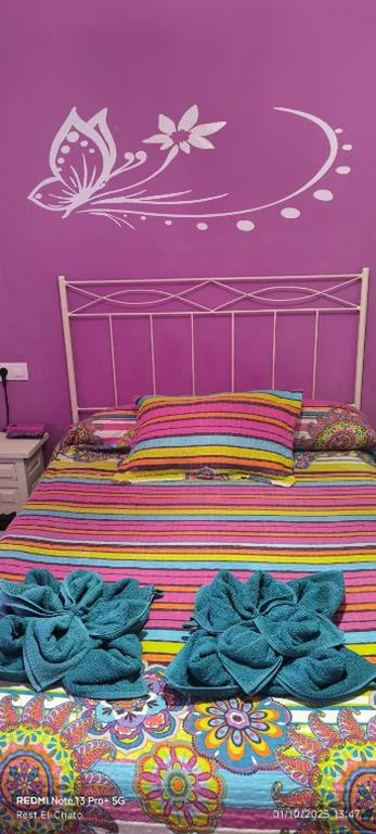 Hostal Hotel EL Chato — 写真 11