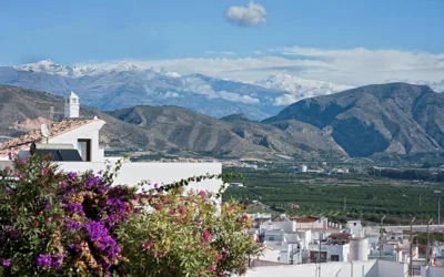 Hostal Jayma — foto 5