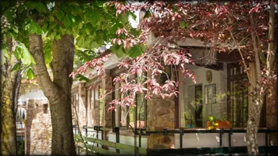 Hostal l'Avet Blau — foto 8