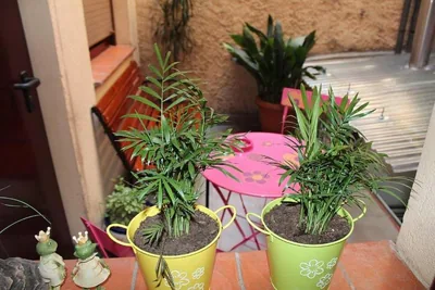 Hostal La Barretina — foto 6