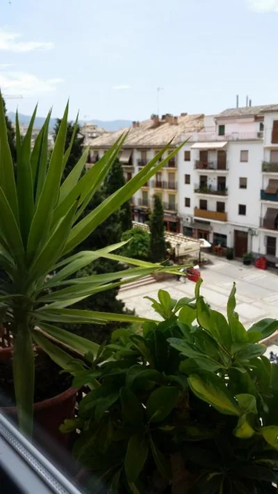Hostal la Ninfa — foto 5