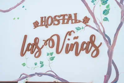 Hostal Las Viñas — foto 9