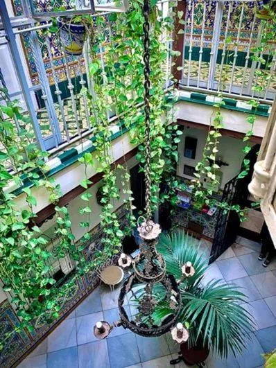 Hostal Lis — Foto 7
