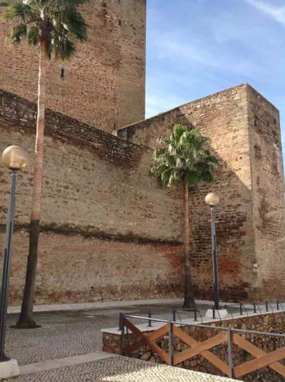Hostal Los Amigos — foto 6