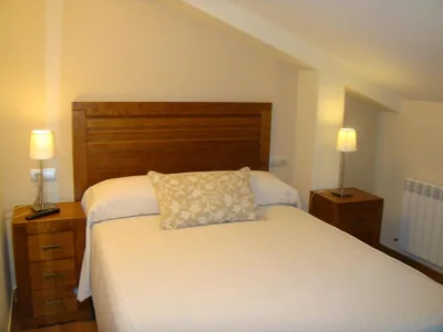 Hostal Los Claveles — foto 5