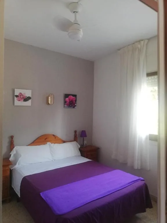 シングルルーム — Hostal Los Pinares
