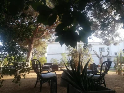 Hostal Los Pinares — 写真 8
