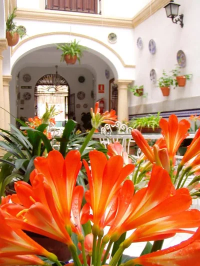 Hostal Maestre — foto 10