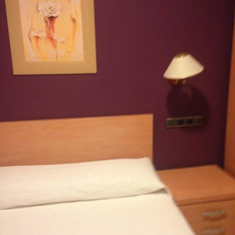 シングルルーム — Hostal Meseguer