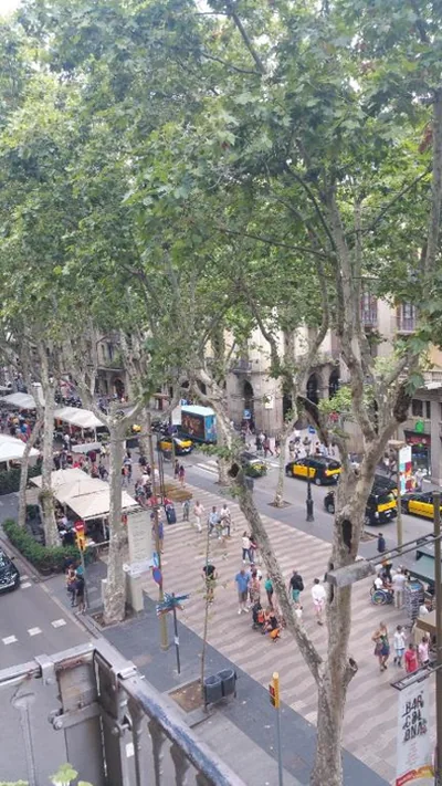 Hostal MiMi Las Ramblas — photo 8