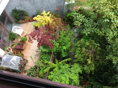 Hostal Mirasierra — Foto 10