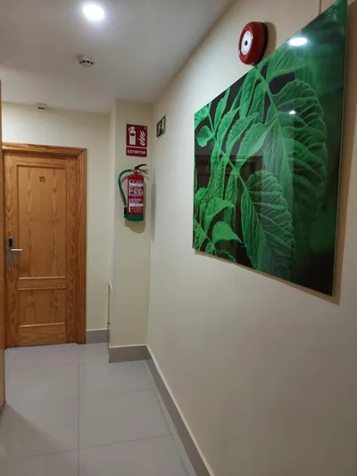 Hostal Moncloa — foto 11