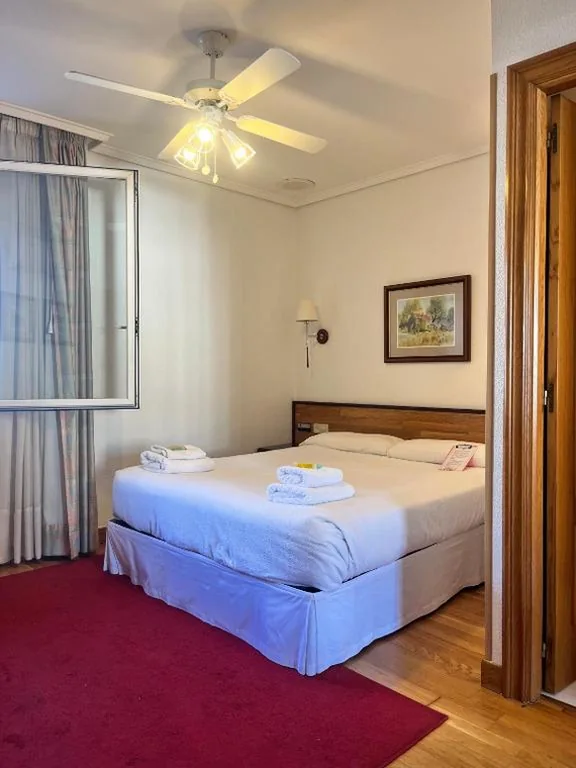 Camera con letto matrimoniale — Hostal Navarra