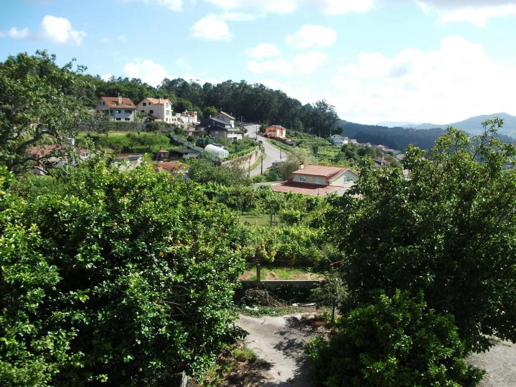 Habitación Individual — Hostal Nuevo Alonso