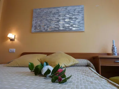 Hostal Pereiriña — Foto 6