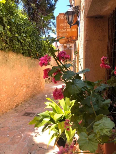 Hostal Posada La Panadera — foto 11
