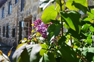 Hostal Refugio De Gredos — 写真 7