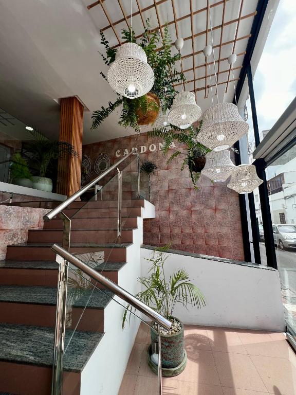 Hostal Residencia Cardona