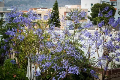 Hostal Restaurante La Curva — 写真 12