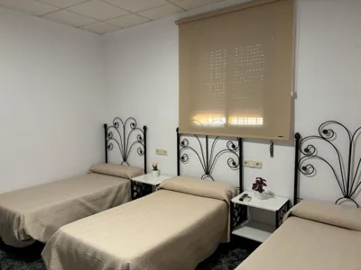 Hostal Restaurante La Noria — foto 12